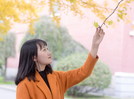 菲律宾驾照分辨真假(驾照辨别方法)